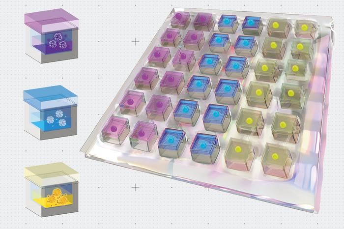 Heart patch rendering