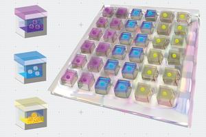 Heart patch rendering