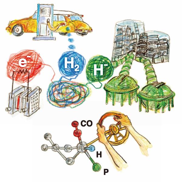 Catalysts Untangled