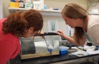 Jennifer Morgan and Ona Bloom, Marine Biological Laboratory