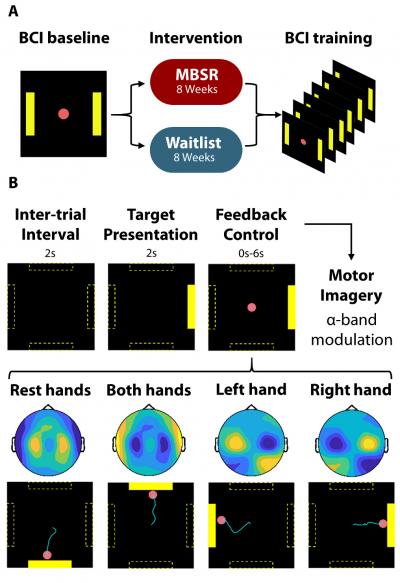Walkthrough: Study and BCI Control