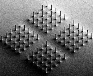 High-resolution image of the hydrogel microcilia