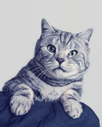 FARS Patient Recovery