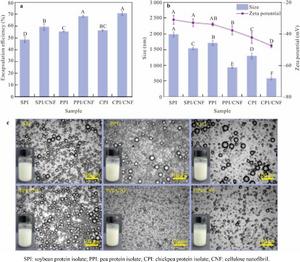 Bio-Based Nanocellulose Aerogels Offer Sustainable Thermal Insulation with Fire Safety