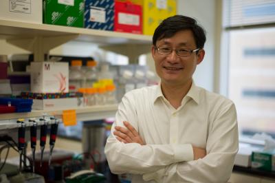 Ching-Pin Chang, Indiana University