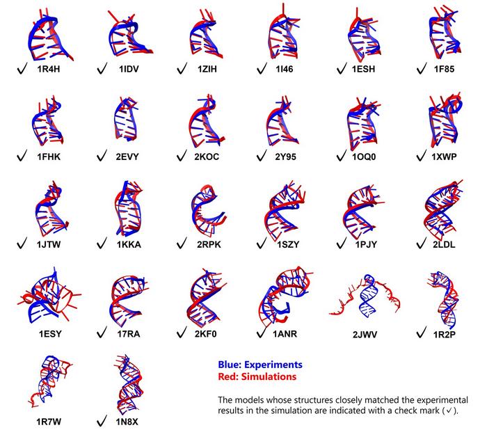 Structural comparison of RNA stem loops: simulation vs. experiment