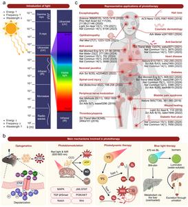 Figure 1 Phototherapy and the underlying mechanisms.