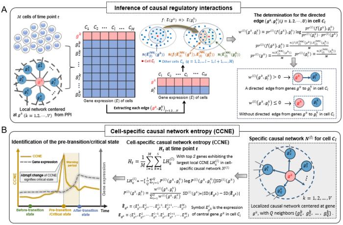 图1：基于CCNE量化复杂生物系统临界状态的示意图