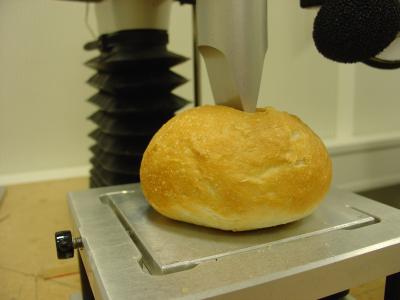 Bread