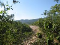 Calilegua National Park