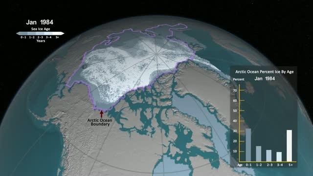 Older Arctic Sea Ice Disappearing