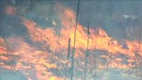 Burning the Glades