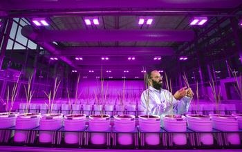 New Awards Focus On Genotype-To-Phenotype Relationship