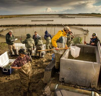 Knaggs Ranch Research