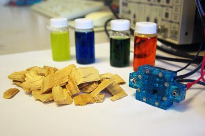 Biomass Fuel Cell