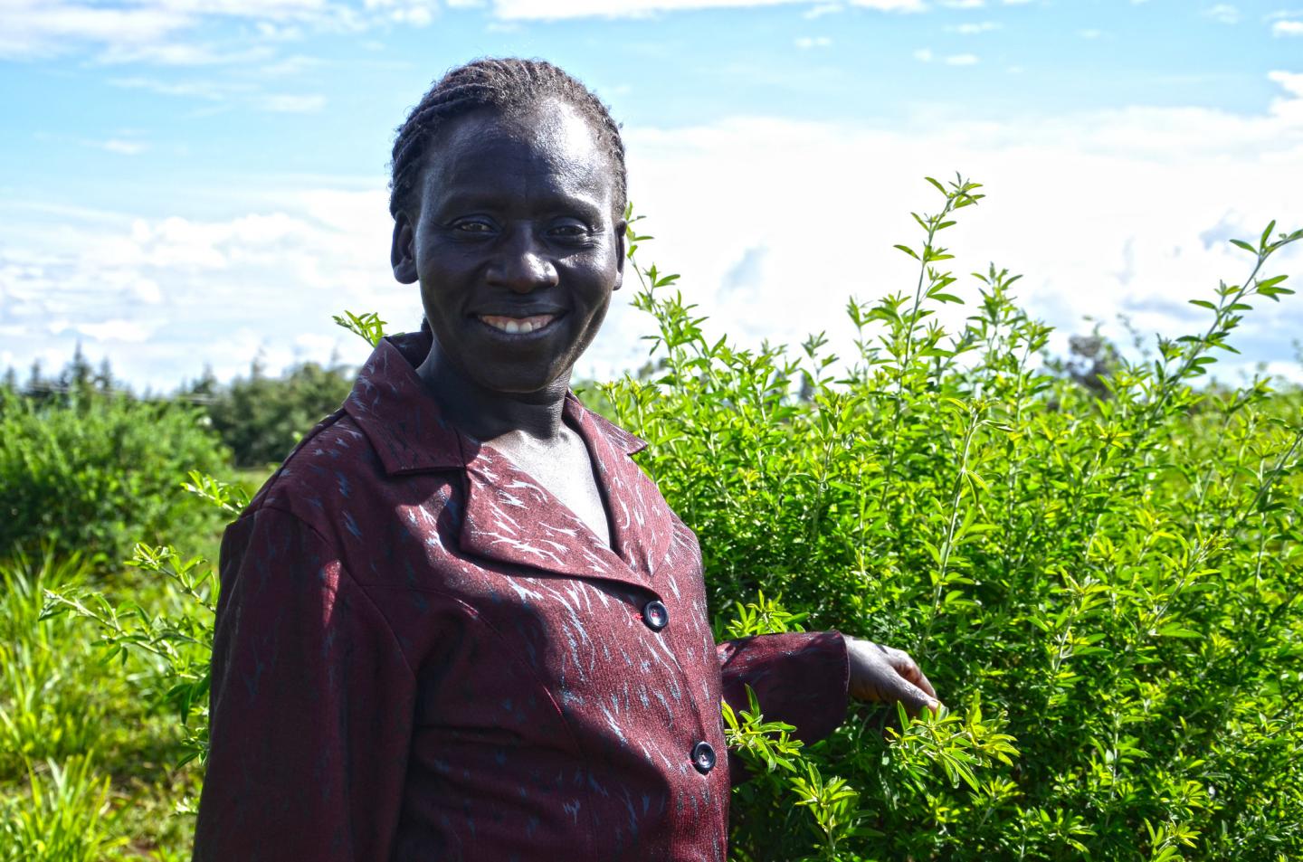 Farmer