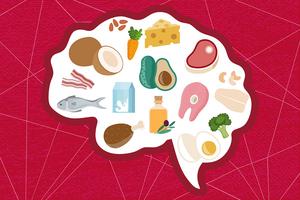 Keto diet and the brain