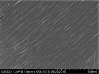 WAFER 1