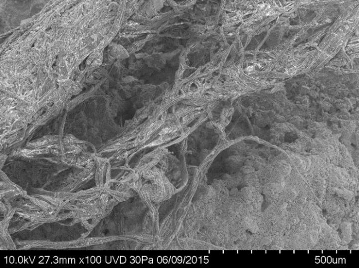 Detail of the Cord Fragment