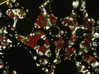 Liquid Crystal Phases from Short Rods 6 (of 7)