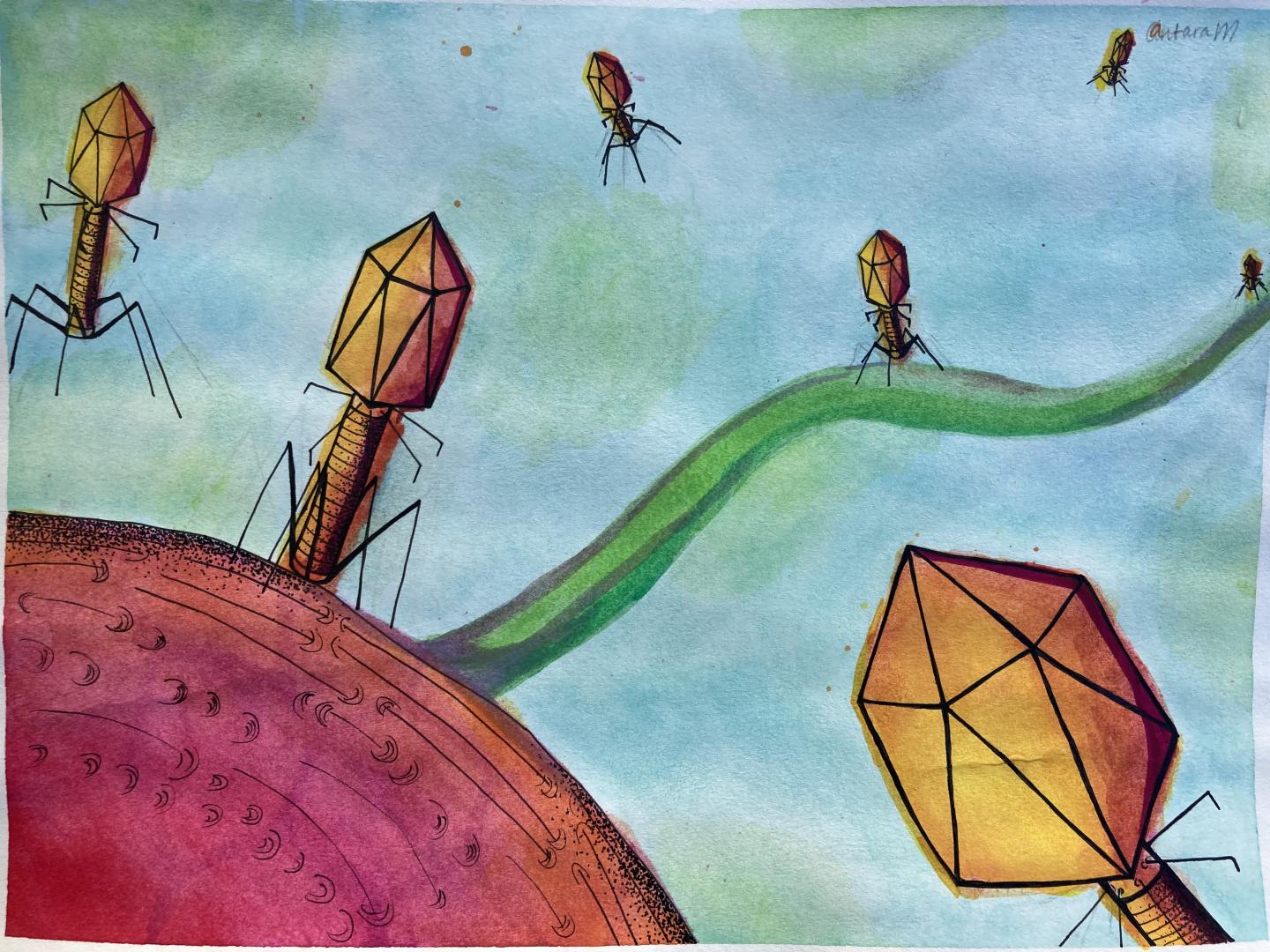 Color Phage