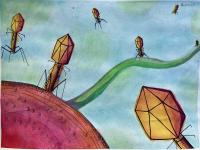Color Phage