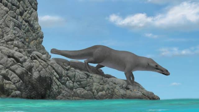 Four-Legged Whale Video Abstract