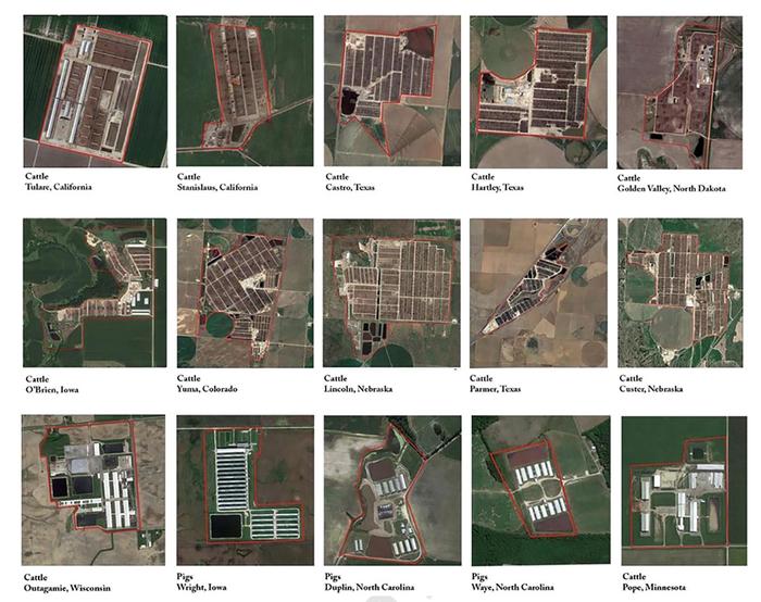 Satellite images of animal feeding operations