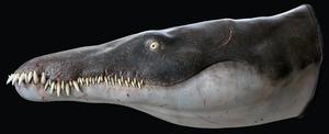 Lorrainosaurus - Life model