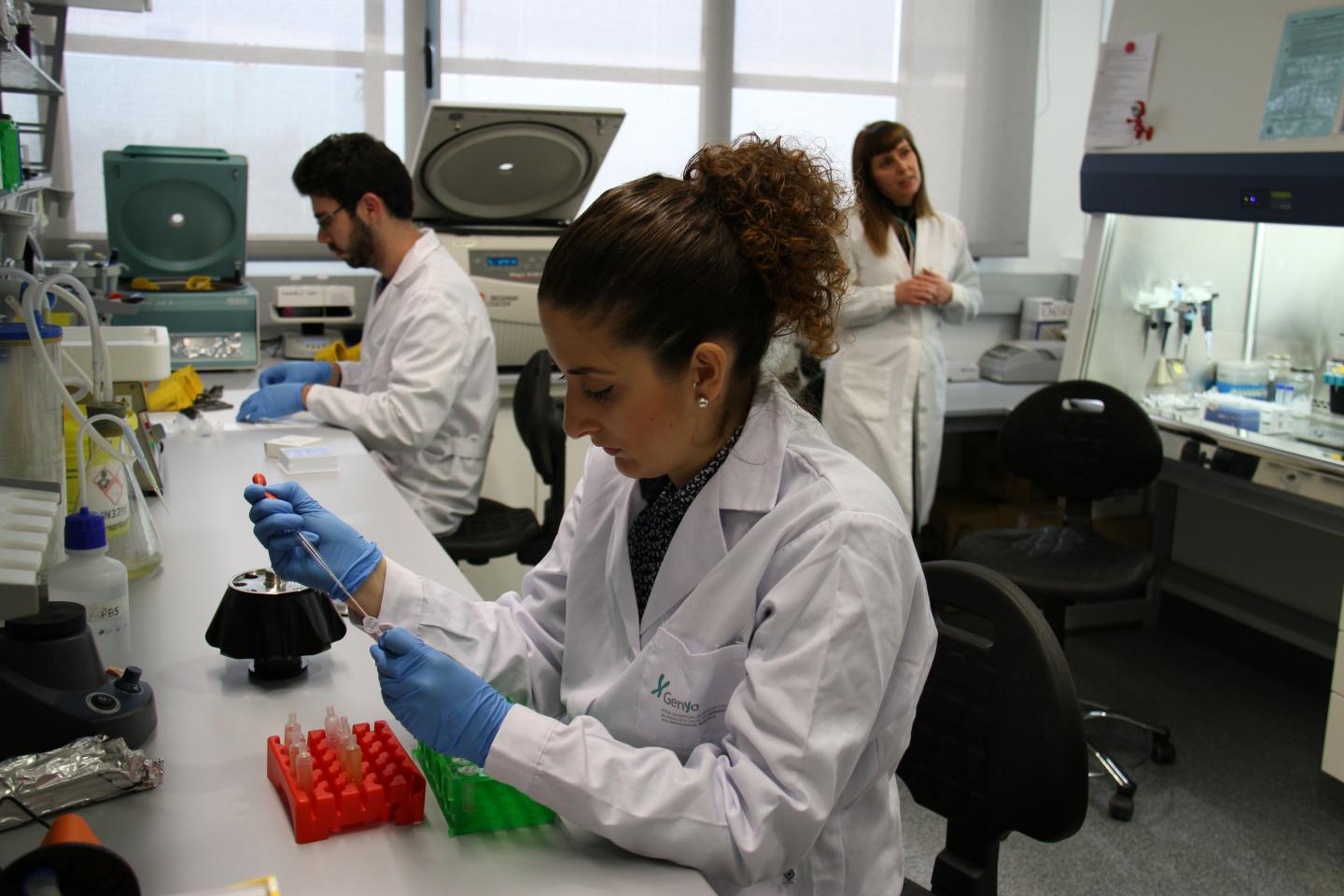 Researcher