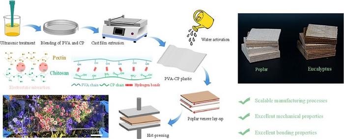 Water-Triggered PVA Film Switches from Bioplastic to High-Performance Wood Adhesive