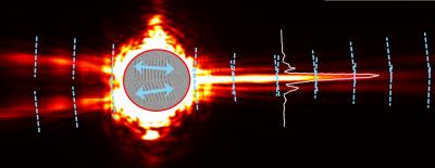 Needle Beam