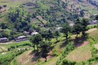 Hillsides in North Hwanghae
