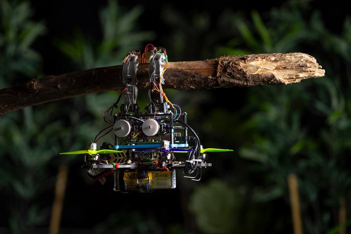 Gripper drone hanging onto branch