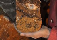 Denisova Cave Soil Sample
