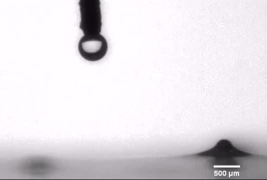 Transport of Single Micro-Droplet