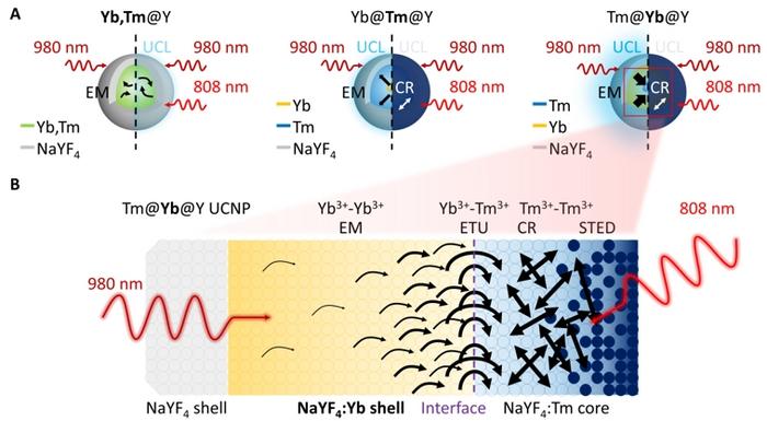 Figure 1 | Probing UCL emission driven by topology-based ETNs in core–shell UCNPs.