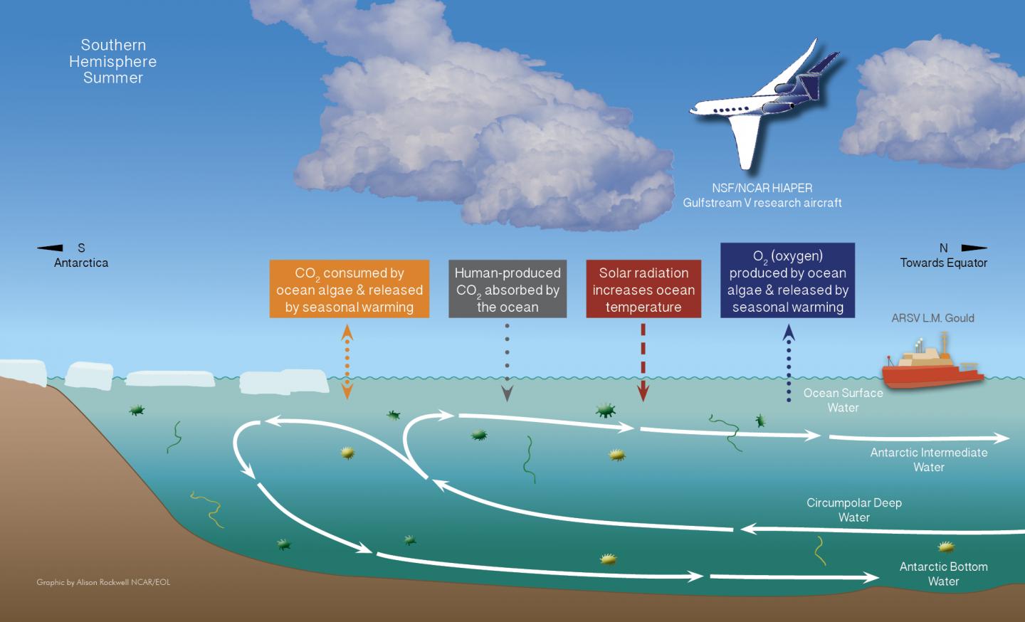 Air-Sea Gas Exchange in the Southern Ocean