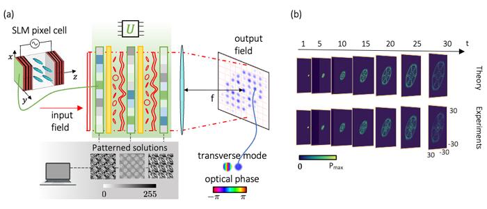 Figure | Working principle of the programmable optical processor.
