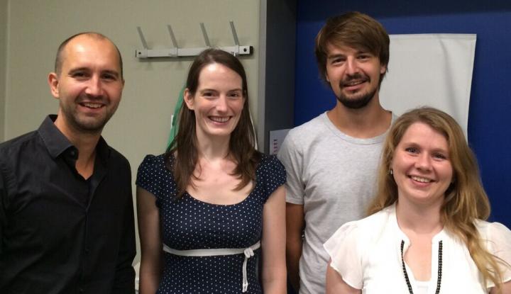 The Team of Researchers