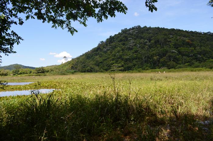 Sítio Recanto Preservar