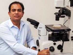 Ashok Kumar, University of Houston Else and Philip Hargrove Endowed Professor of Drug Discovery and director of The Institute for Muscle Biology and Cachexia