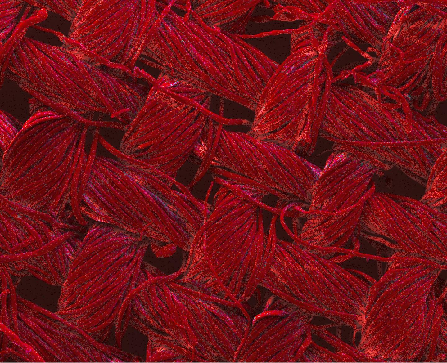 Silver Nanoparticles on Cotton Textiles