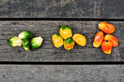 Fruit Signaling