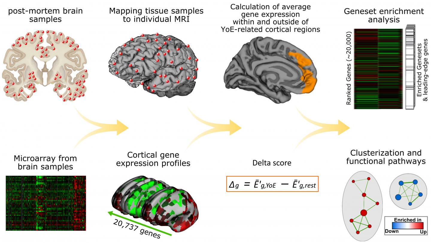 Research Scheme