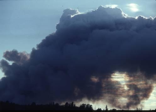 Wildfire