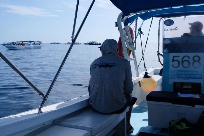 Credit Jessie Bujouves 1