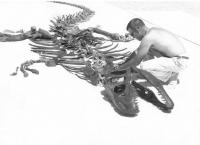 James Madsen Jr.