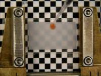 Adaptive Material Demonstration