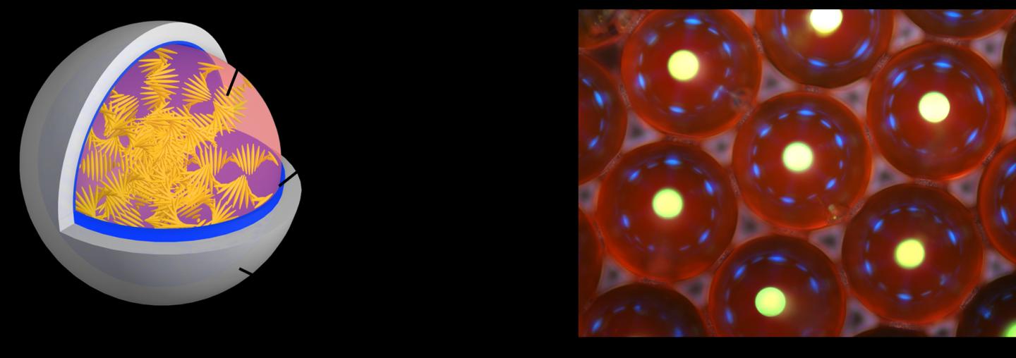 Capsule-Type Laser Resonator